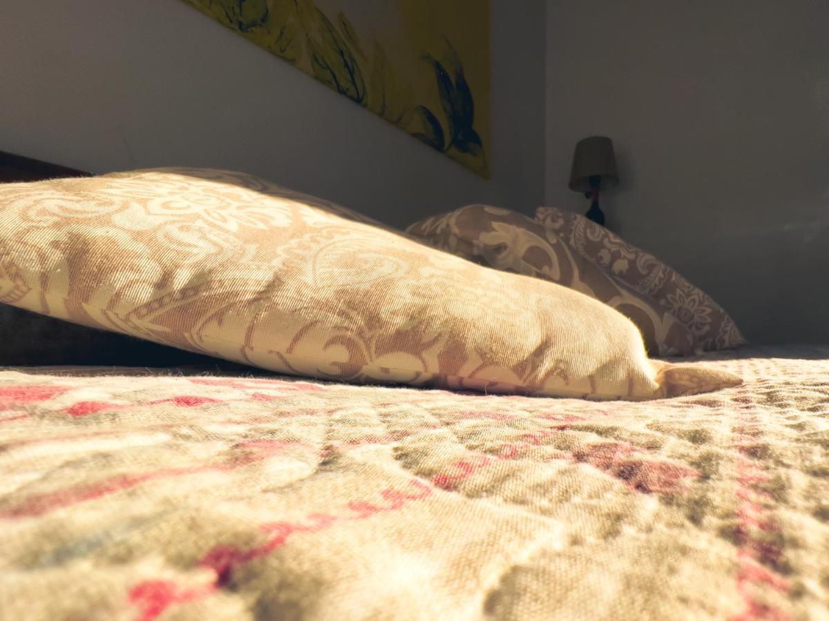 Tenuta Monteoliveto - Family Cottage - Agriturismo Nelle Langhe Vesime Екстериор снимка