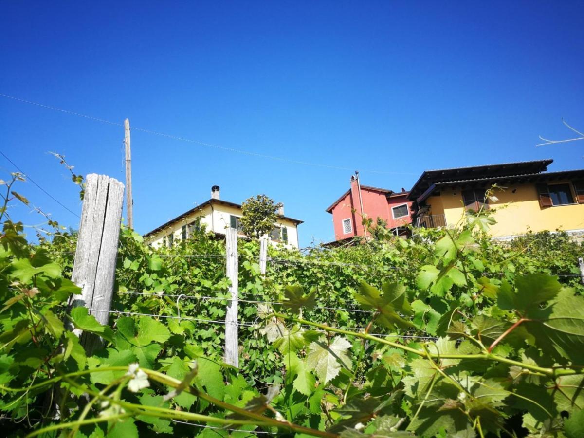 Tenuta Monteoliveto - Family Cottage - Agriturismo Nelle Langhe Vesime Екстериор снимка